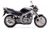 2001 Suzuki GS 500 E photo